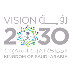 FDIND Vision 2030 Logo